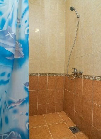 Гостиница Гостевой дом 7 Фиалок Сочи-18